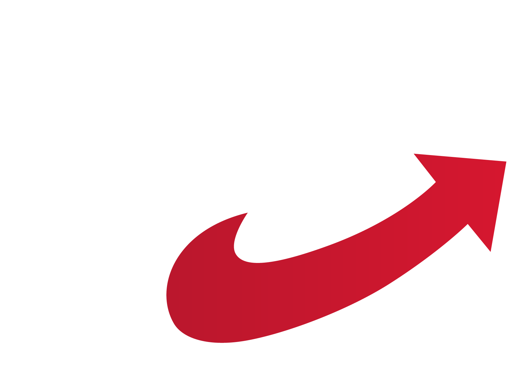 AfD Sachsen-Anhalt